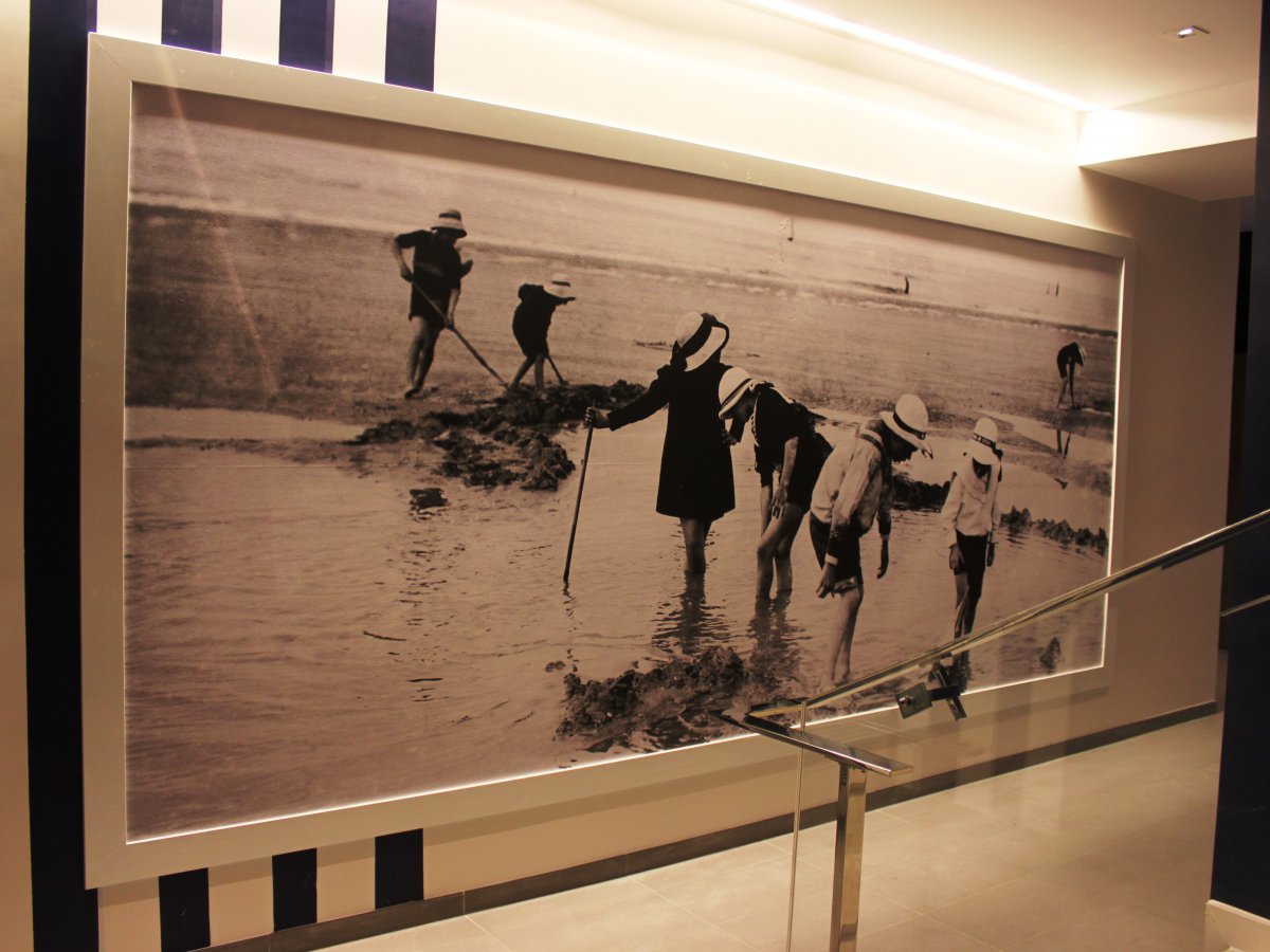 Cures Marines - TROUVILLES (14)